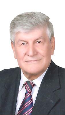 بدر الدين أحمد عامود